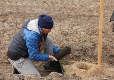 Цінний внесок лісівників у зелену скарбницю держави