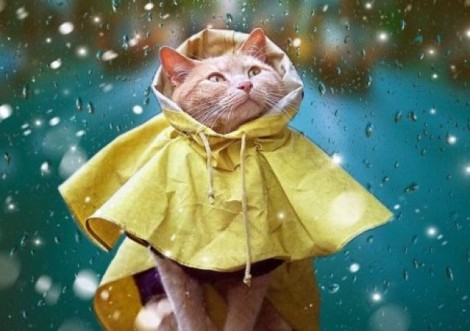 На Сумщину прийде холодний атмосферний фронт