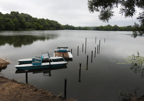 Води поверхневих водойм Тростянця відповідають санітарним нормам за результатами червневих досліджень