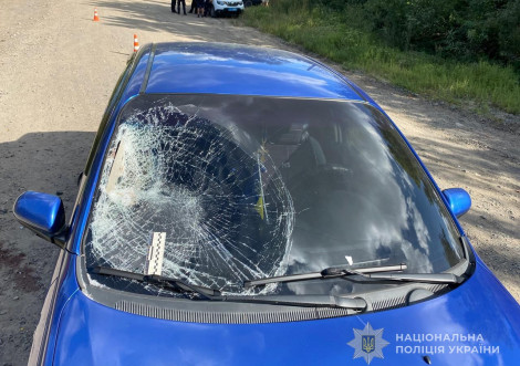 У селі Станова автомобіль збив 12-річного велосипедиста