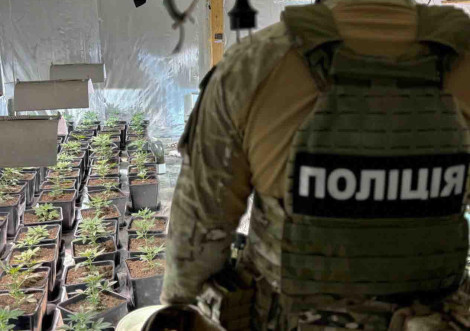 У Тростянці чоловік отримав 3 роки умовно за зберігання канабісу