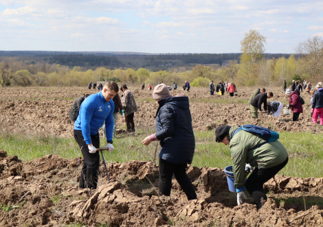 Близько 70 тростянчан висадили 6 тисяч саджанців сосни у комунальному лісі біля Олексиного